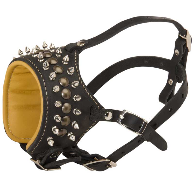 Royal Spiked and Studded Leather Swiss Mountain Dog Muzzle