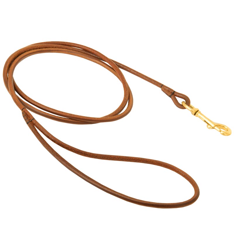Round Leather Swiss Mountain Dog Leash for Dog Shows