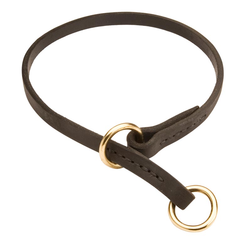Leather dog training online collars