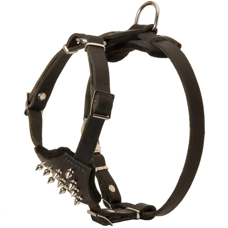 Durable Spiked Leather Puppy Swiss Mountain Dog Harness
