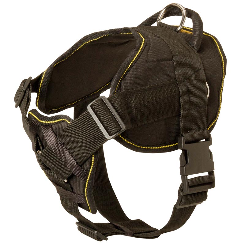 All Weather Nylon Swiss Mountain Dog Collar with ID Patches [C48##1116  Nylon Collar] : Swiss Mountain Dog Breed: Dog Harness, Muzzle, Collar, Leash,  Dog Supplies