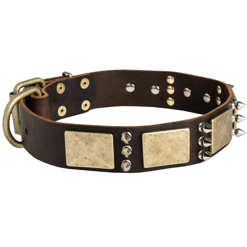 Designer War-Style Leather Swiss Mountain Dog Collar with Spikes and Plates