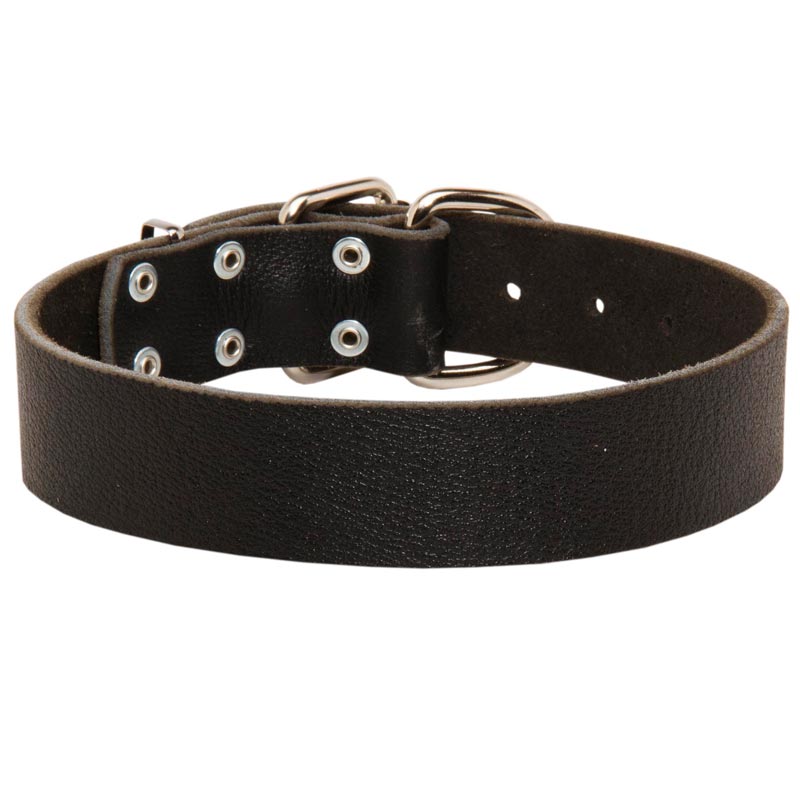 Wide Leather Swiss Mountain Dog Collar for Training and Walking