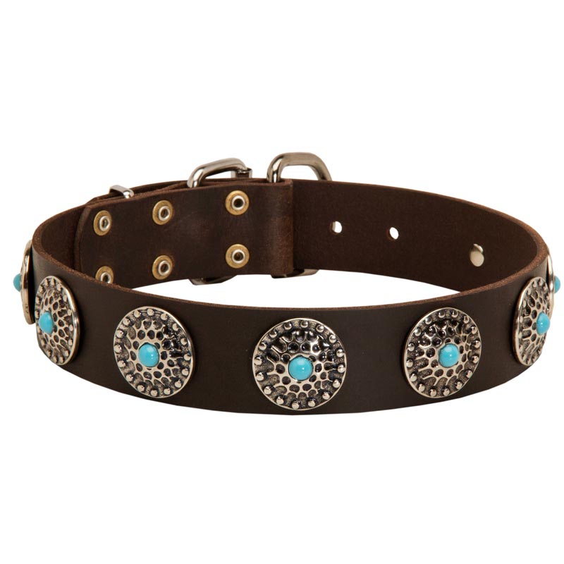 Leather Swiss Mountain Dog Collar with Blue Stones for Stylish Walking