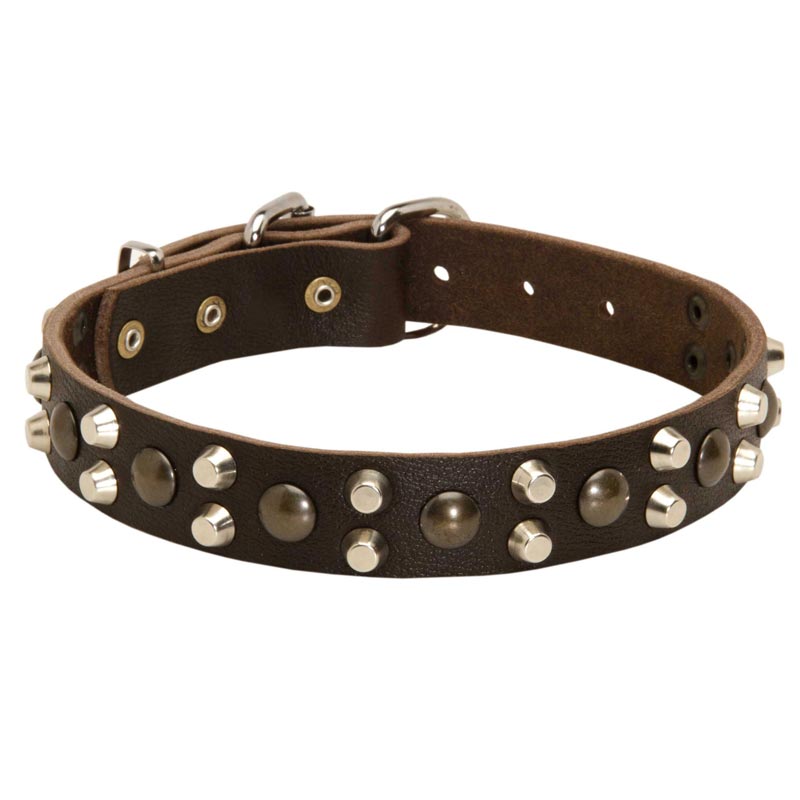 Leather Swiss Mountain Dog Collar With Studs and Pyramids