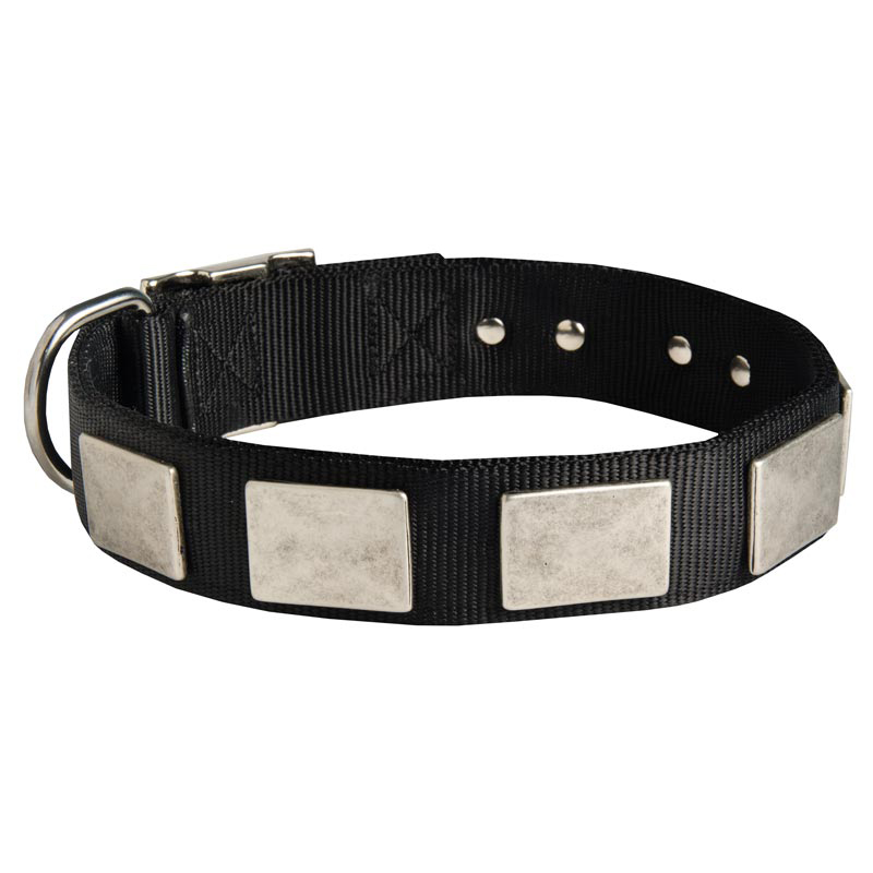 Nylon Swiss Mountain Dog Collar Massive Nickel Plates