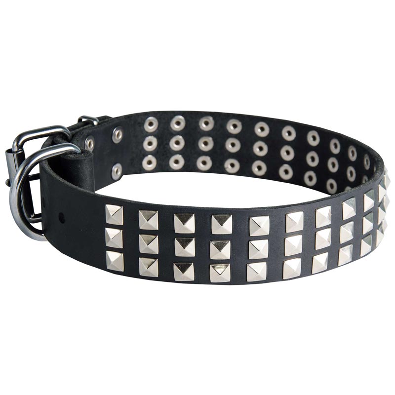 Leather Swiss Mountain Dog Collar with 3 Rows of Nickel Pyramids