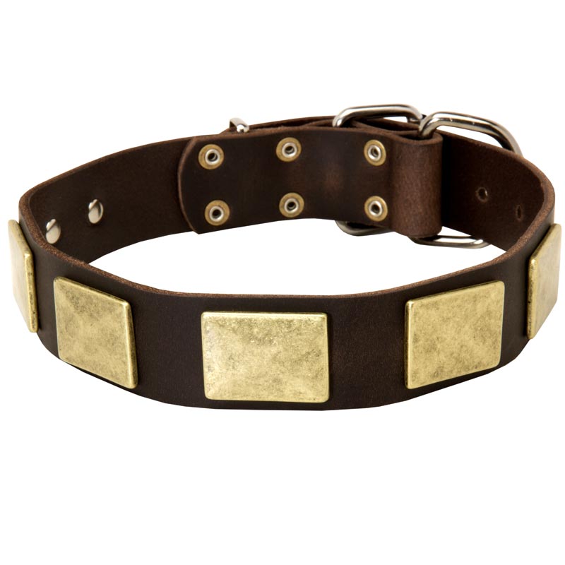 Leather Pet Collar, Brown Leather Collar, Large Collar