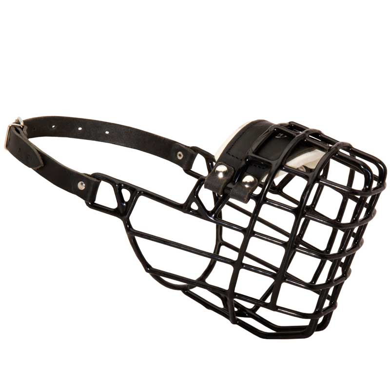Frost-Resistant Wire Cage Swiss Mountain Dog Muzzle with One Adjustable Strap