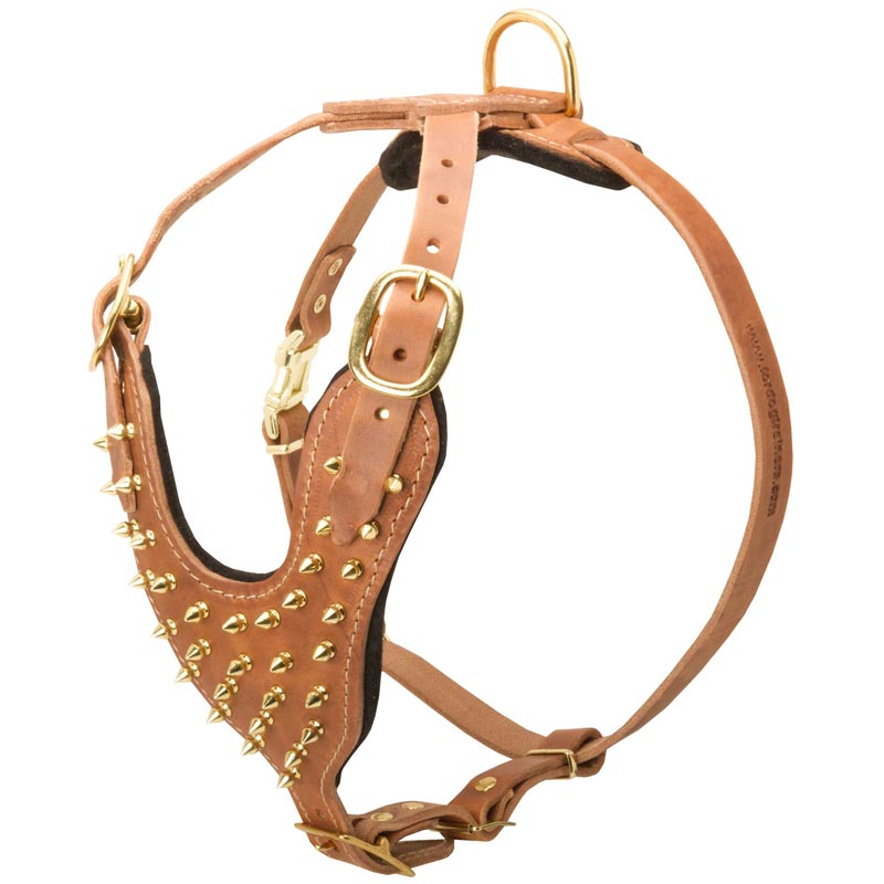 Brass Spiked Leather Swiss Mountain Dog Harness for Fashion Walking