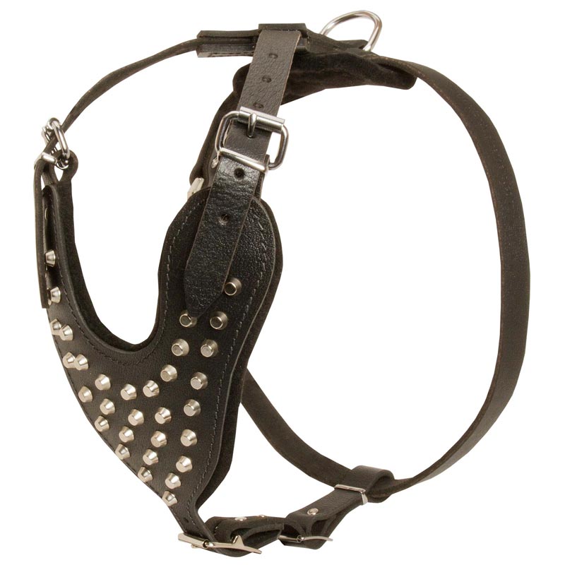 Adjustable Leather Swiss Mountain Dog Harness Studded for Fashion Walking