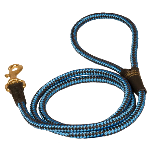 Cord nylon dog leash for Swiss Mountain Dog dog