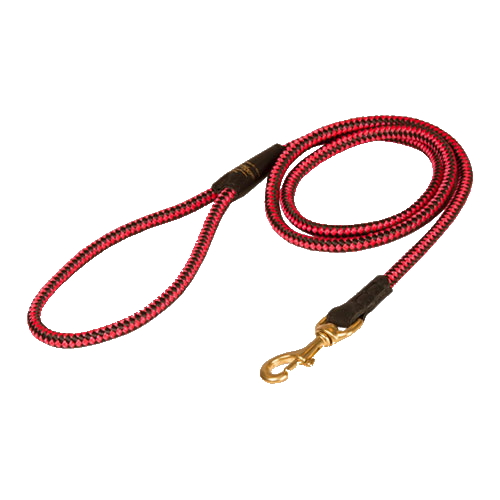 Nylon rope hotsell leash