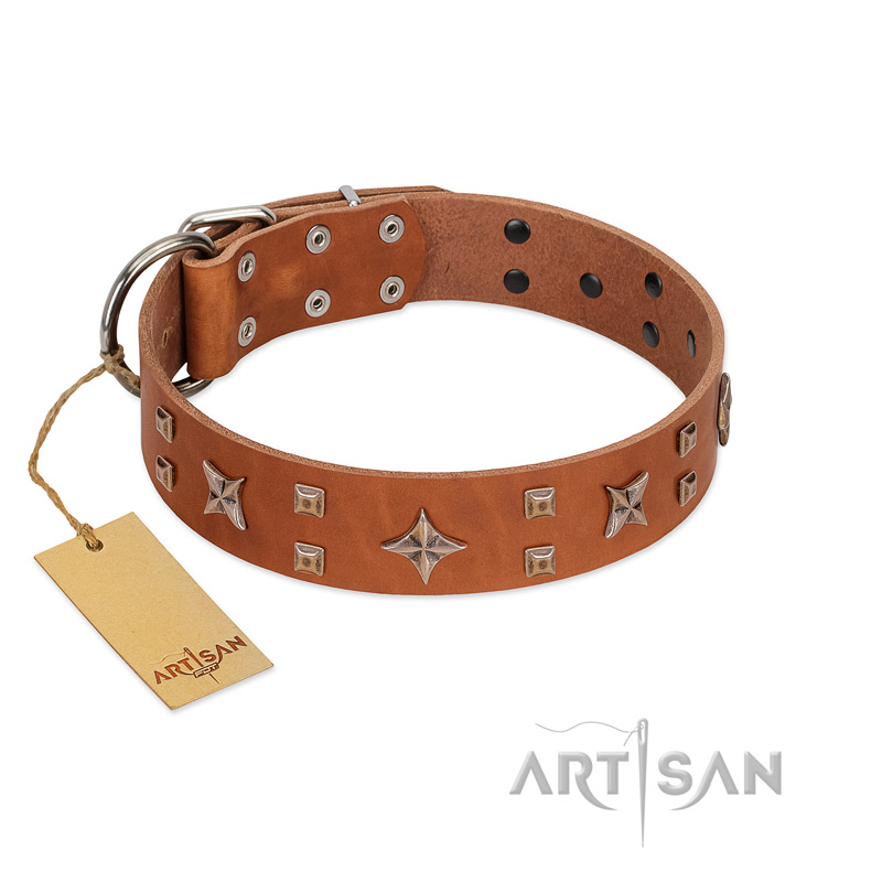 "Dreamy Gleam" FDT Artisan Tan Leather Swiss Mountain Dog Collar Adorned with Stars and Squares