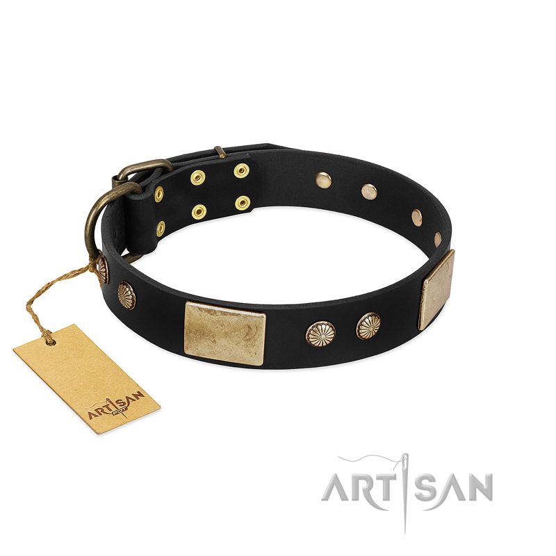 "Antique Gloss" FDT Artisan Black Leather Swiss Mountain Dog Collar with Bronze-like Plates and Small Studs