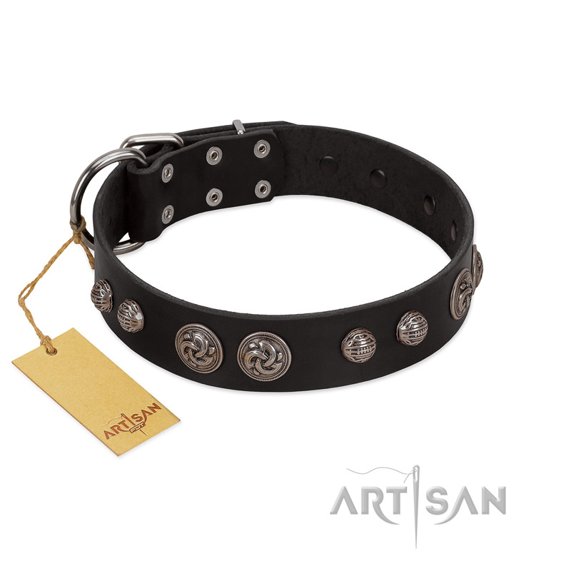 "Tricky Ricky" FDT Artisan Black Leather Swiss Mountain Dog Collar Adorned with Silver-Like Conchos