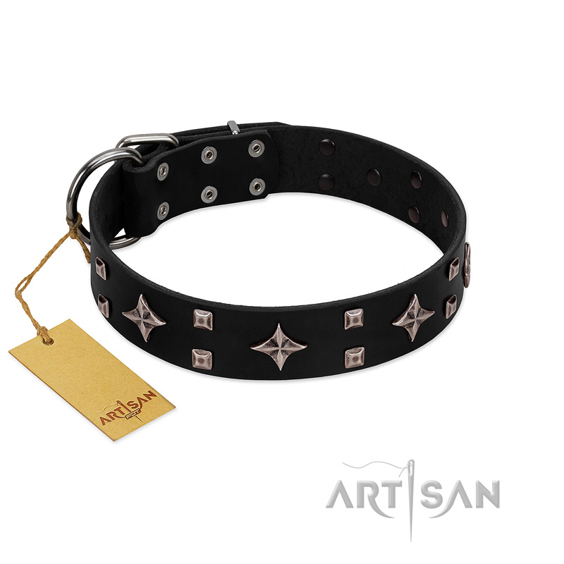 "Snappy Dresser" FDT Artisan Black Leather Swiss Mountain Dog Collar Adorned with Stars and Tiny Squares