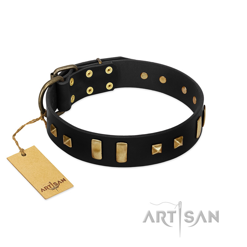 "Fit for Royalty" FDT Artisan Black Leather Swiss Mountain Dog Collar with Plates and Small Square Studs