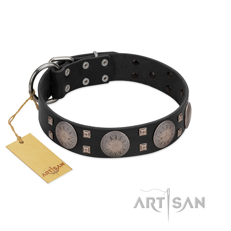 "Sun in Shining" Modern FDT Artisan Black Leather Swiss Mountain Dog Collar with Studs and Stars