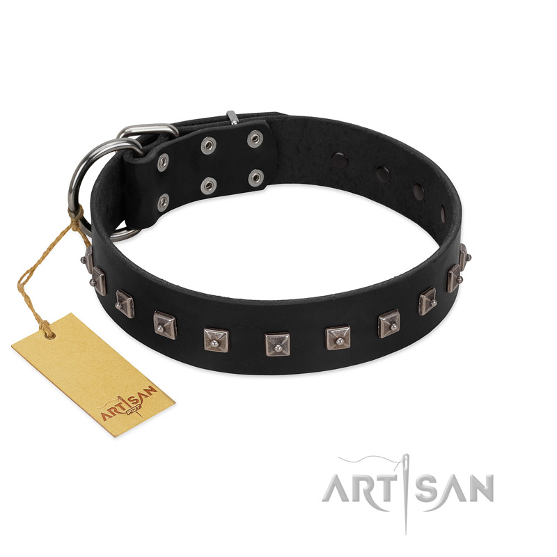 "Natural Beauty" Premium Quality FDT Artisan Black Designer Swiss Mountain Dog Collar with Dotted Studs