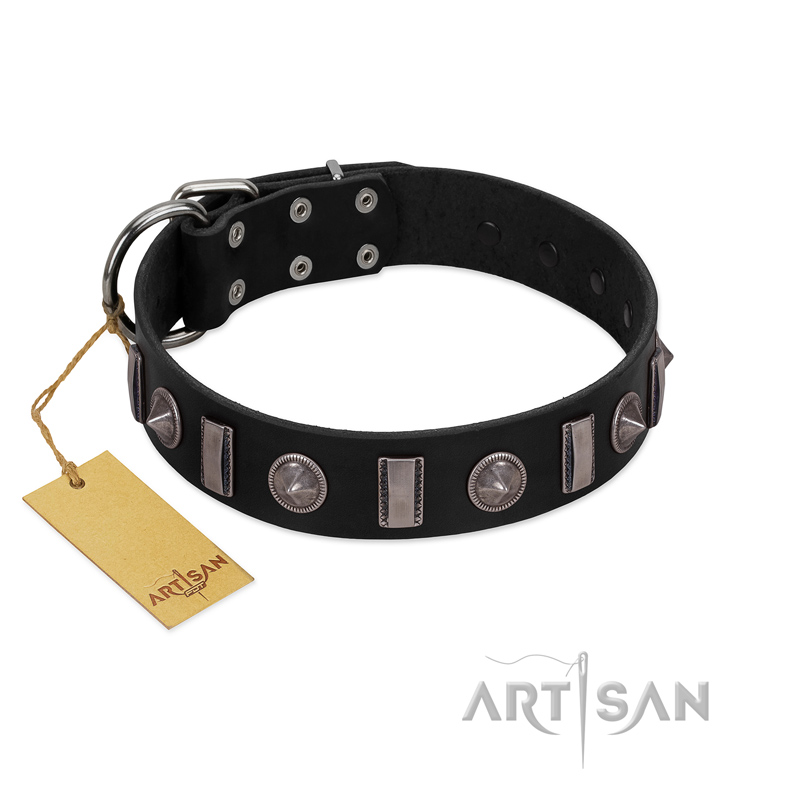 "Silver Spikes" Exclusive FDT Artisan Black Leather Swiss Mountain Dog Collar