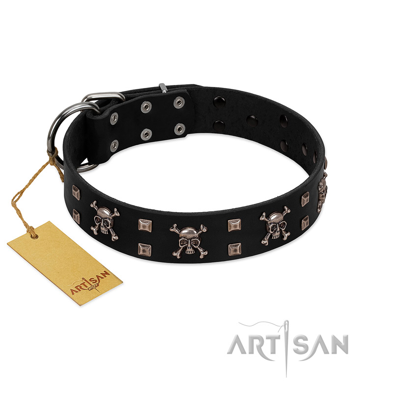 "Black Jack" Stylish Handmade FDT Artisan Black Leather Swiss Mountain Dog Collar