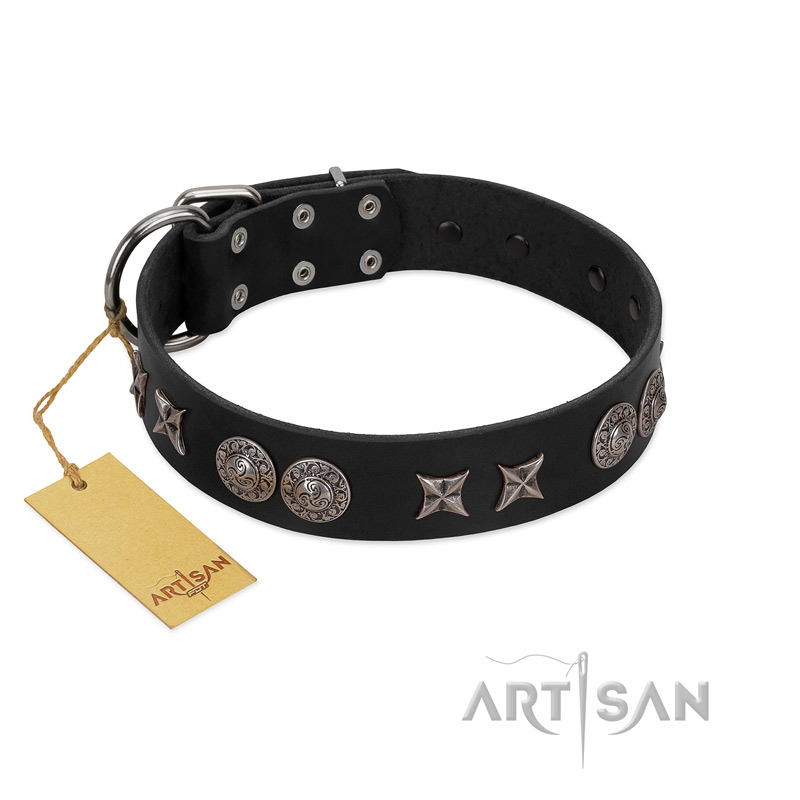 "Scythian Silver" Stylish Handmade FDT Artisan Black Leather Swiss Mountain Dog Collar