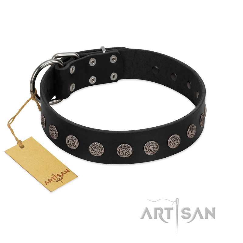 "Silent Star" Handmade FDT Artisan Designer Black Leather Swiss Mountain Dog Collar with Engraved Plates