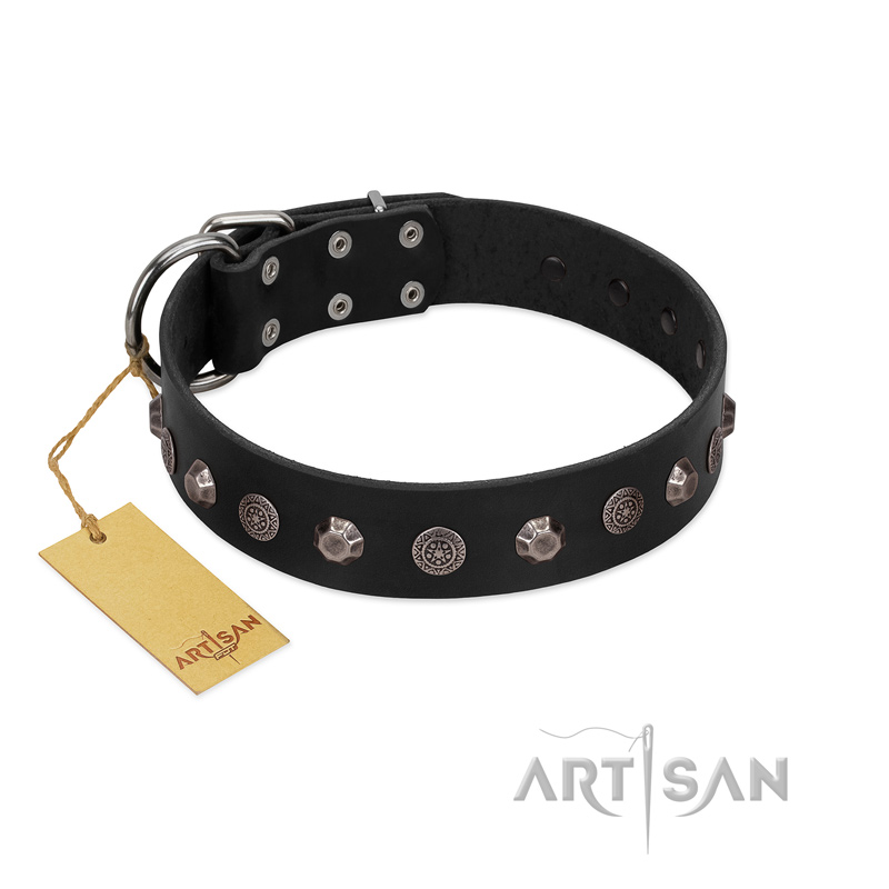 "Black Knight" Handmade FDT Artisan Black Leather Swiss Mountain Dog Collar with Silver-Like Studs - Click Image to Close