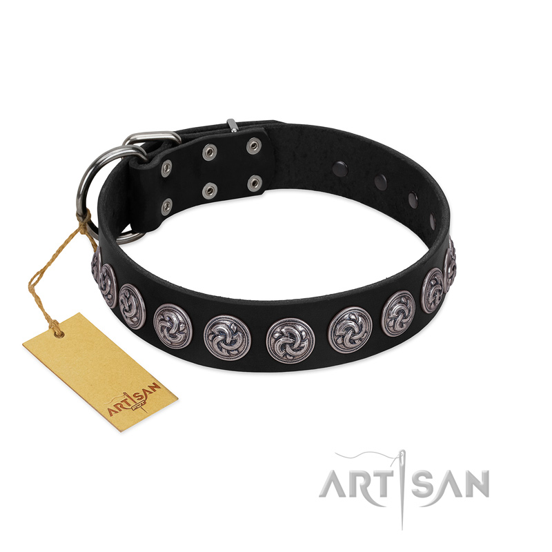 "Black Raven" Handmade FDT Artisan Black Leather Swiss Mountain Dog Collar with Silver-Like Adornments
