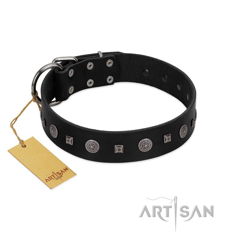 "Mr. Elegance" Designer FDT Artisan Black Leather Swiss Mountain Dog Collar with Silver-Like Studs