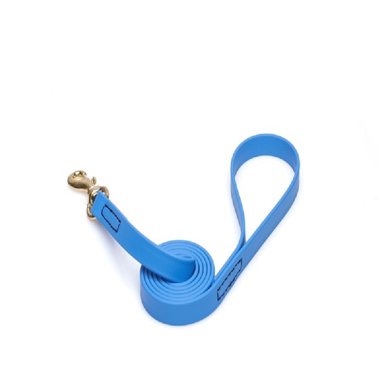 Blue Waterproof Swiss Mountain Dog Leash Made of Biothane