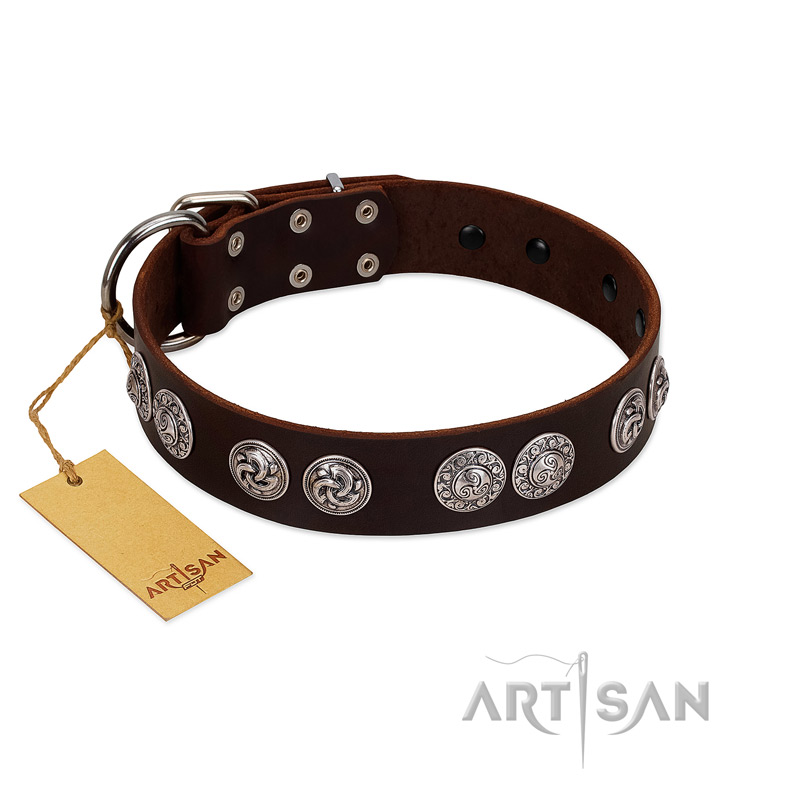 "High and Mighty" FDT Artisan Classy Brown Leather Swiss Mountain Dog Collar with Embellished Brooches