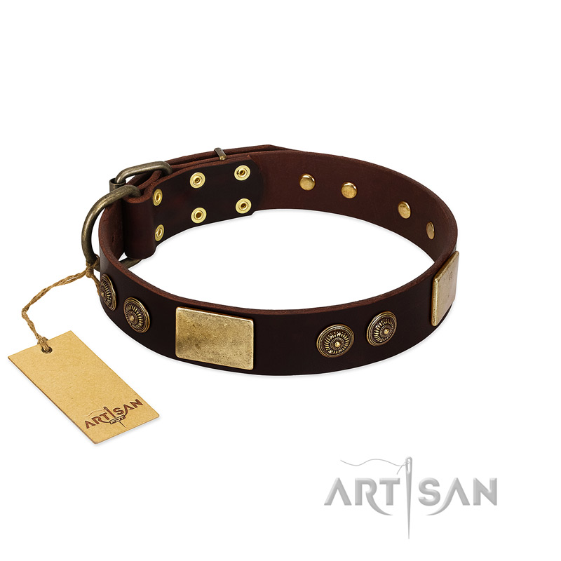 "Bow-Wow Effect" FDT Artisan Brown Leather Swiss Mountain Dog Collar with Plates and Ornate Studs