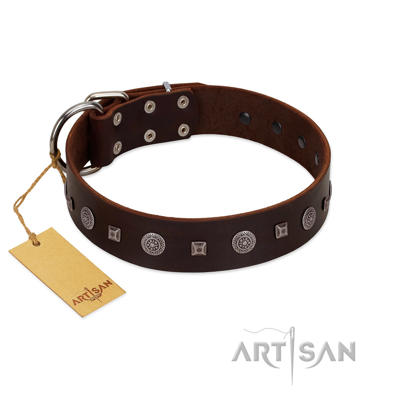 "Pure Sensation" Exclusive FDT Artisan Brown Leather Swiss Mountain Dog Collar with Fancy Brooches and Studs