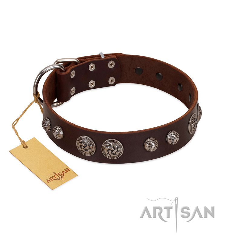 "Choco Brownie" FDT Artisan Brown Leather Swiss Mountain Dog Collar Adorned with Silver-Like Conchos