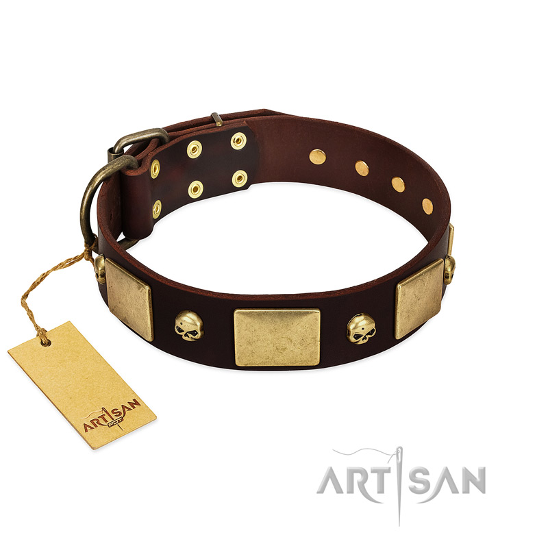 "Heavy Metal" FDT Artisan Brown Leather Swiss Mountain Dog Collar with Old Bronze-like Skulls and Plates