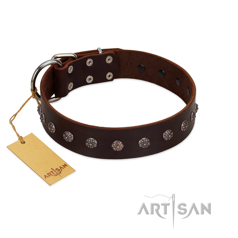 "Graceful Classic" Mod FDT Artisan Brown Leather Swiss Mountain Dog Collar