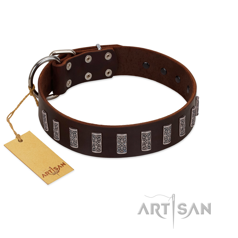 "Brown Lace" Handmade FDT Artisan Brown Leather Swiss Mountain Dog Collar for Everyday Walks