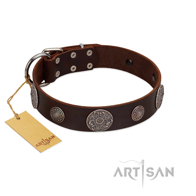 "Flashy Woof" FDT Artisan Brown Leather Swiss Mountain Dog Collar with Chrome Plated Brooches