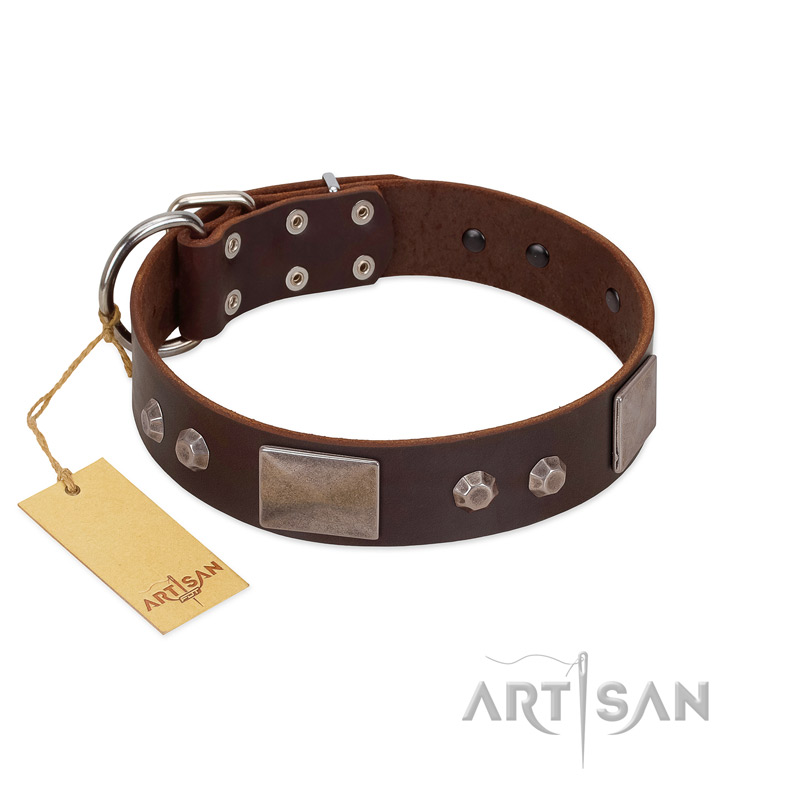 "Stone Stars" Stylish Handmade FDT Artisan Brown Leather Swiss Mountain Dog Collar