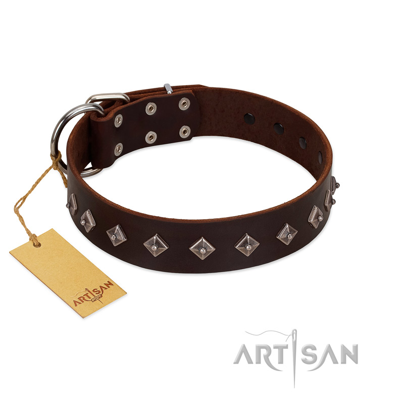 "Boundless Energy" Premium Quality FDT Artisan Brown Designer Leather Swiss Mountain Dog Collar with Small Pyramids