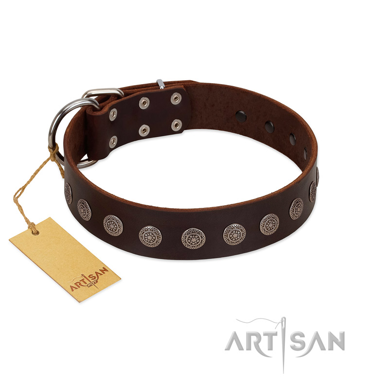 "Starry-Eyed" Best Quality FDT Artisan Brown Designer Leather Swiss Mountain Dog Collar with Small Plates
