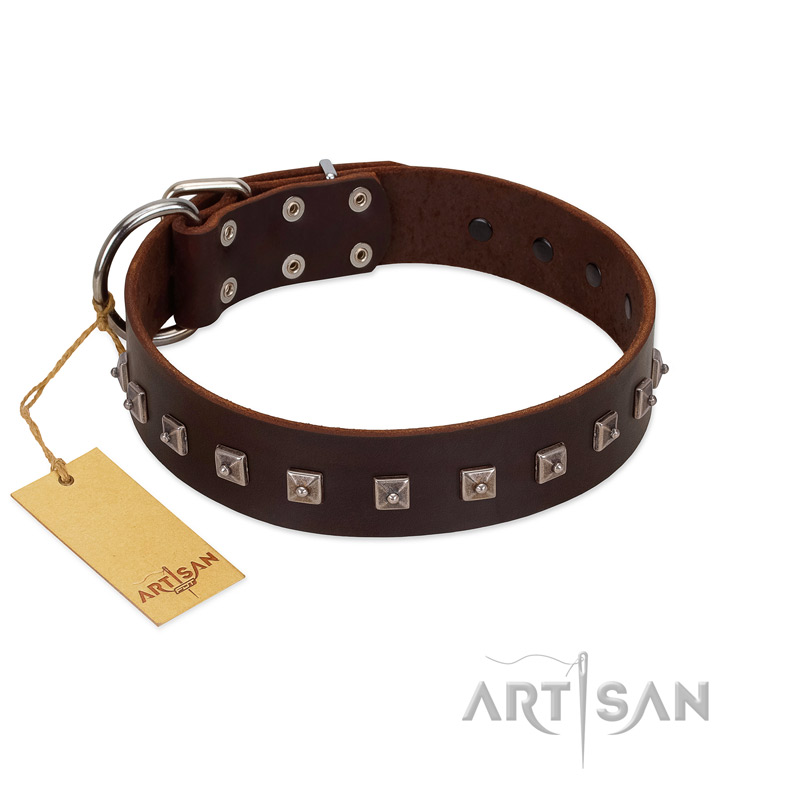 "Kingly Grace" FDT Artisan Brown Leather Swiss Mountain Dog Collar with Silver-like Dotted Studs