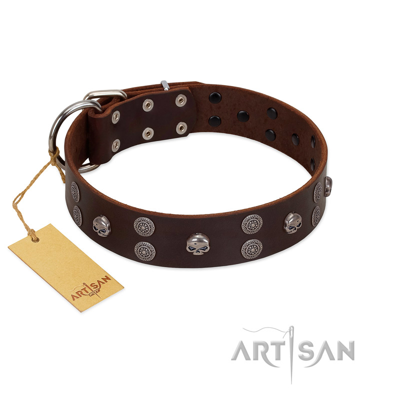 "Skull Valley" Handcrafted FDT Artisan Brown Leather Swiss Mountain Dog Collar with Skulls
