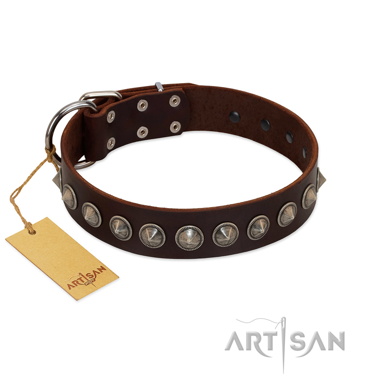"Gothic Style" FDT Artisan Fancy Brown Leather Swiss Mountain Dog Collar with Silver-Like Decorations