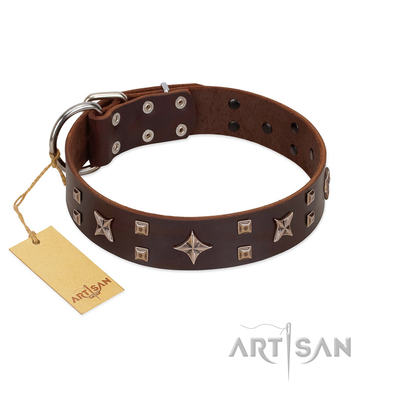 "Stars in Sands" Modern FDT Artisan Brown Leather Swiss Mountain Dog Collar with Studs and Stars
