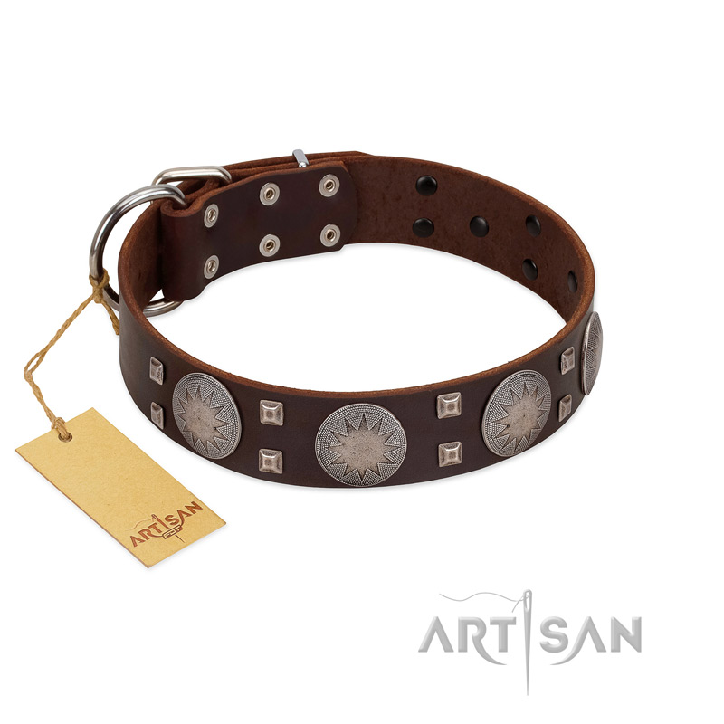 "Sun in Barchans" Modern FDT Artisan Brown Leather Swiss Mountain Dog Collar with Engraved Stars on Round Plates and Studs