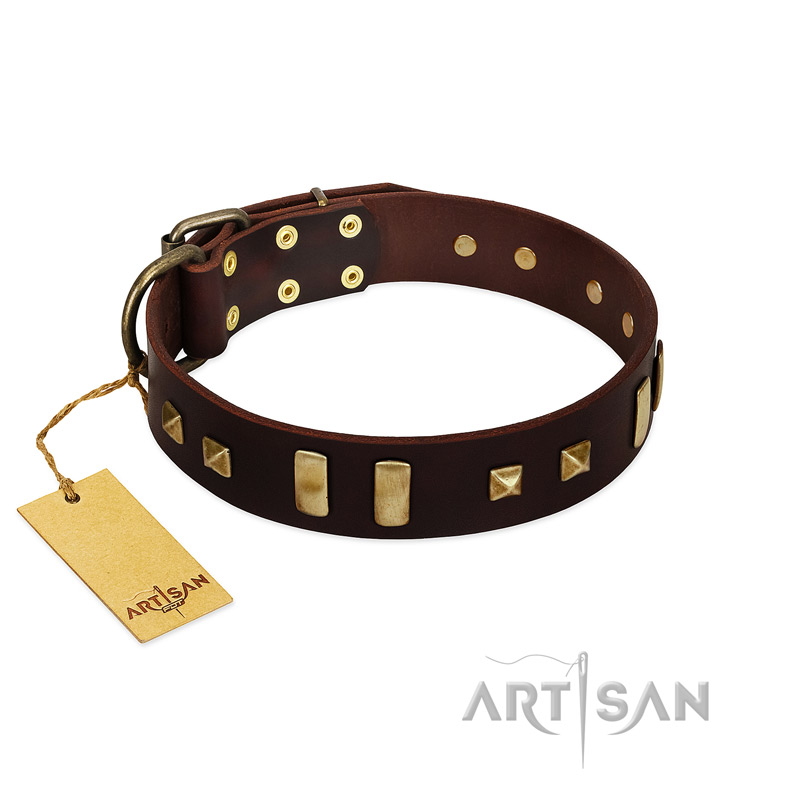 "Choco Delight" FDT Artisan Brown Leather Swiss Mountain Dog Collar with Old Bronze-like Plates and Studs - Click Image to Close