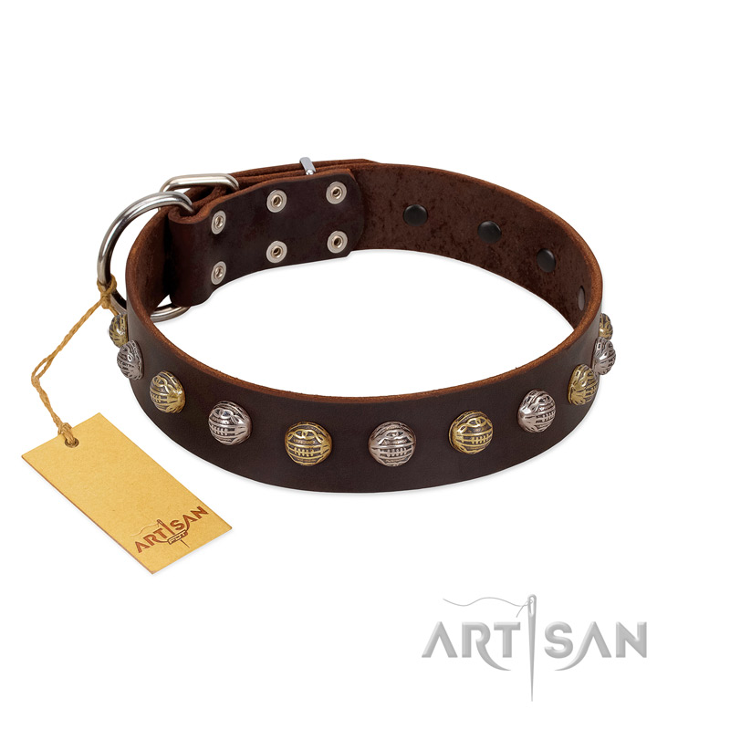"Gape Buster" FDT Artisan Brown Leather Swiss Mountain Dog Collar with One Row of Studs